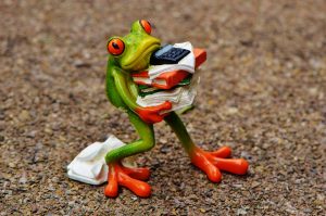 frog-working